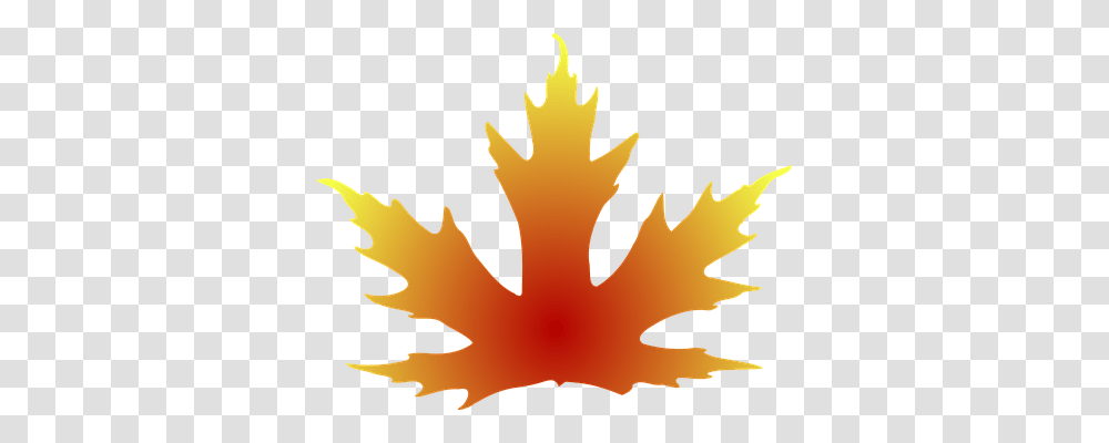 Leaf Nature, Plant, Tree, Maple Leaf Transparent Png