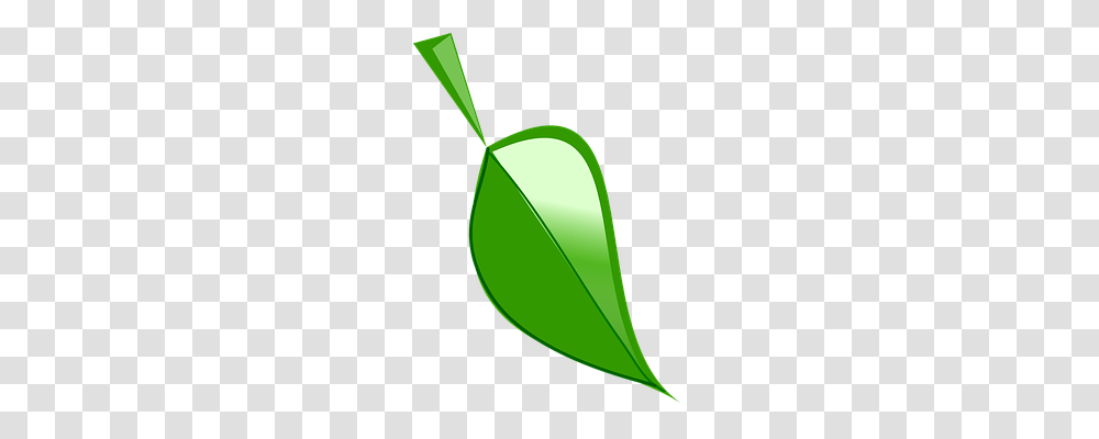 Leaf Nature, Plant, Green, Flower Transparent Png