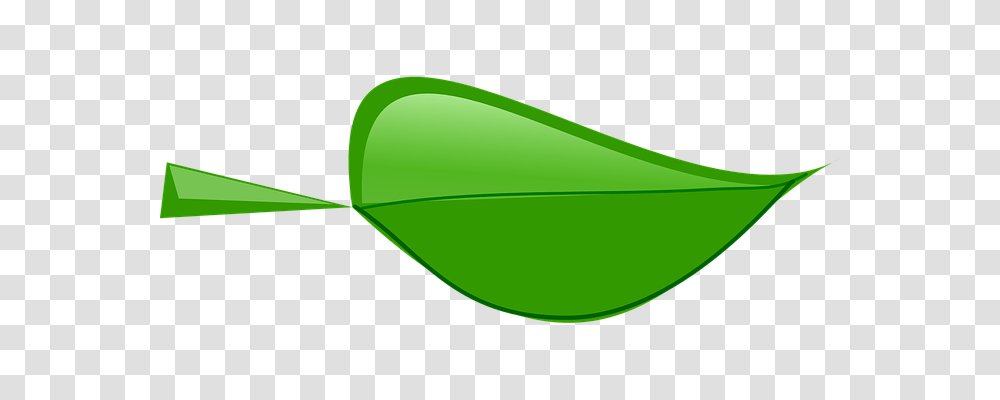 Leaf Nature, Green, Plant, Water Transparent Png