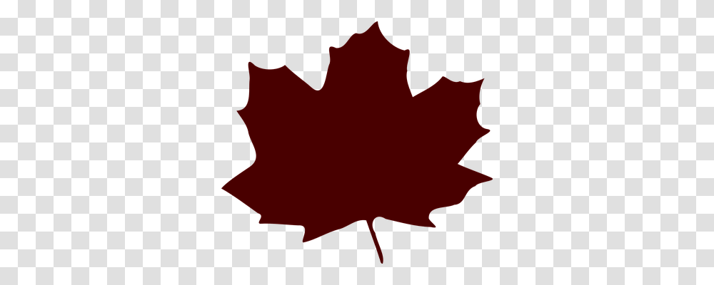 Leaf Nature, Plant, Tree, Maple Leaf Transparent Png