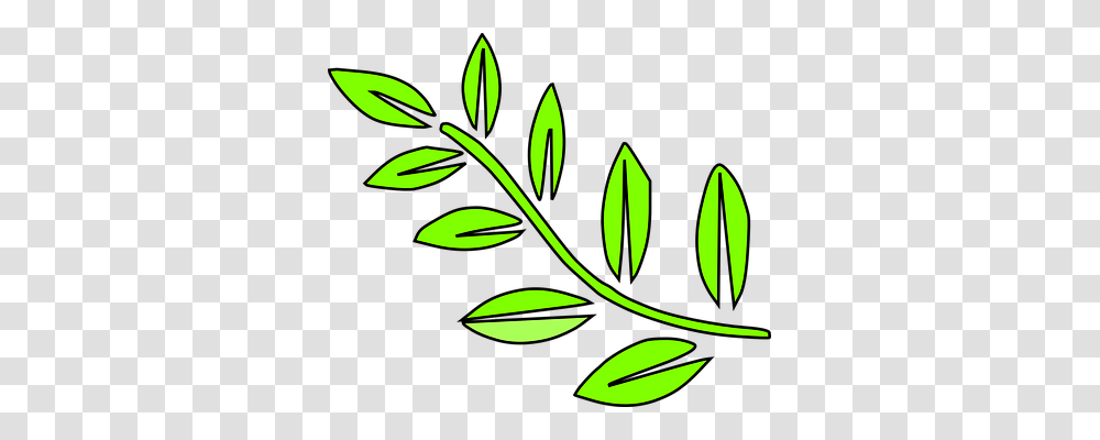 Leaf Nature, Green Transparent Png