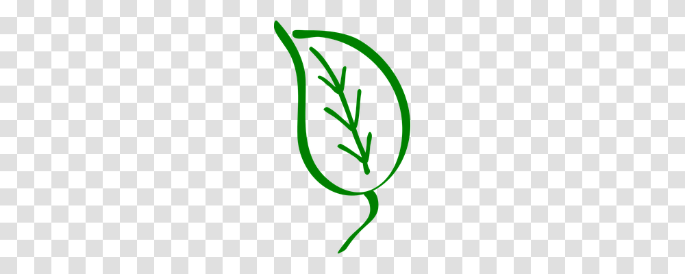 Leaf Nature, Plant, Produce, Food Transparent Png