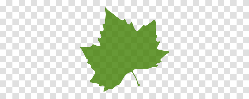 Leaf Plant, Tree, Maple Leaf, Person Transparent Png