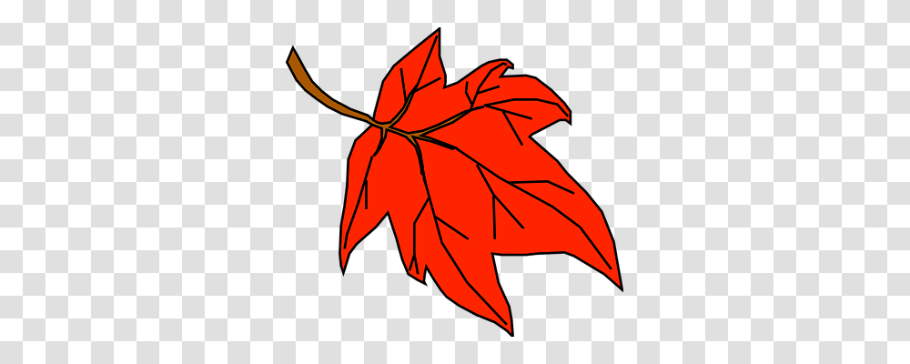 Leaf Nature, Plant, Tree, Maple Transparent Png