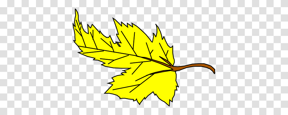 Leaf Nature, Plant, Maple Leaf Transparent Png