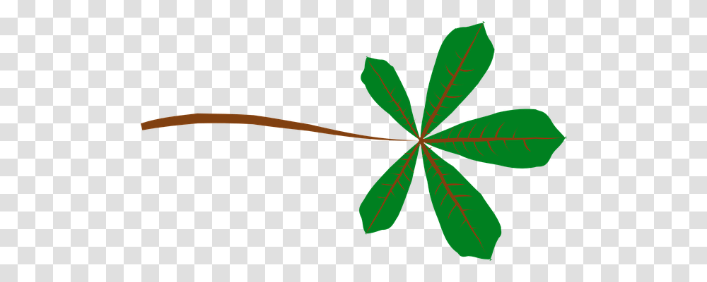 Leaf Nature, Plant, Lupin, Flower Transparent Png