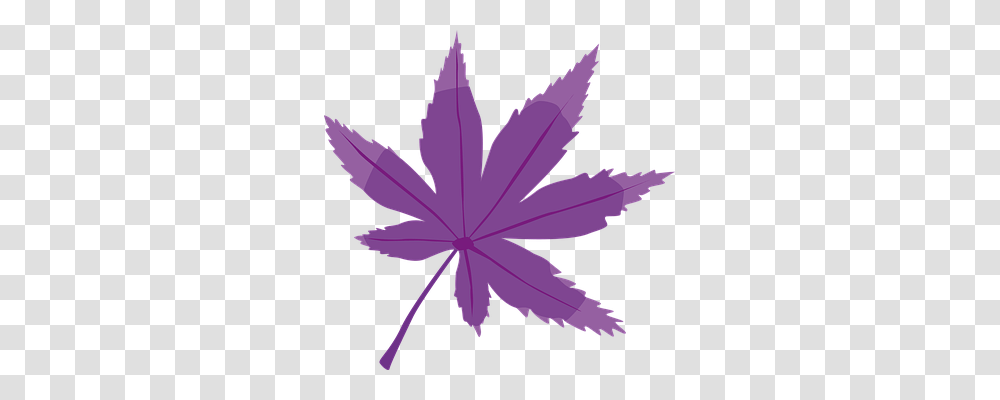 Leaf Nature, Plant, Purple, Maple Leaf Transparent Png