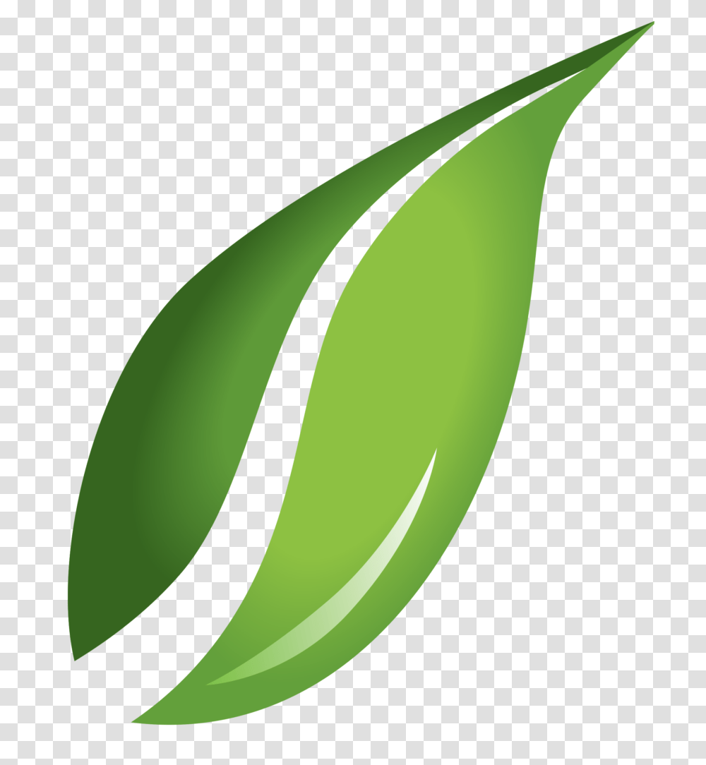 Leaf Background Vector Clipart, Plant, Green, Banana, Fruit Transparent Png