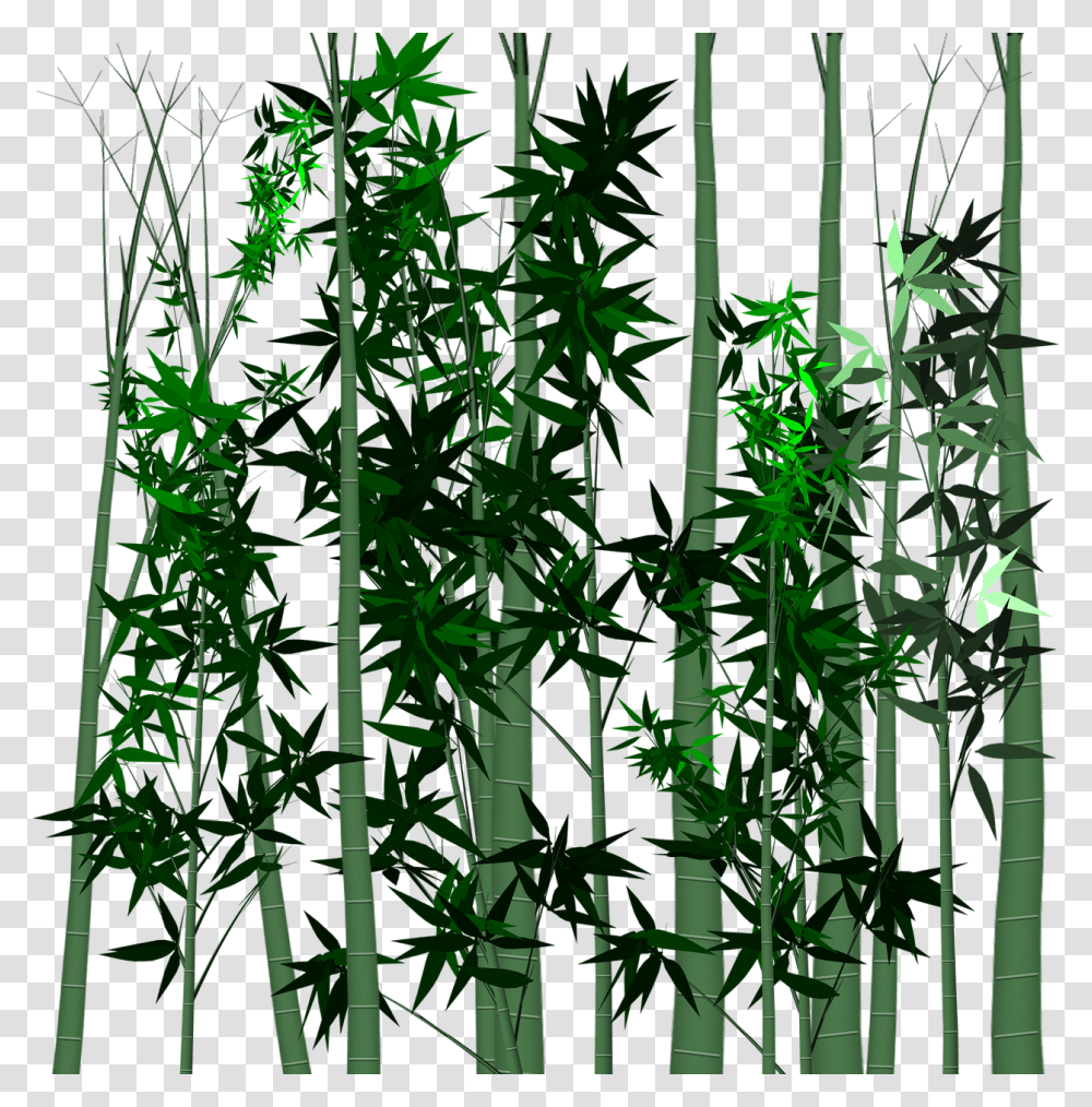 Leaf Bamboo Plant Portable Network Graphics Transparent Png