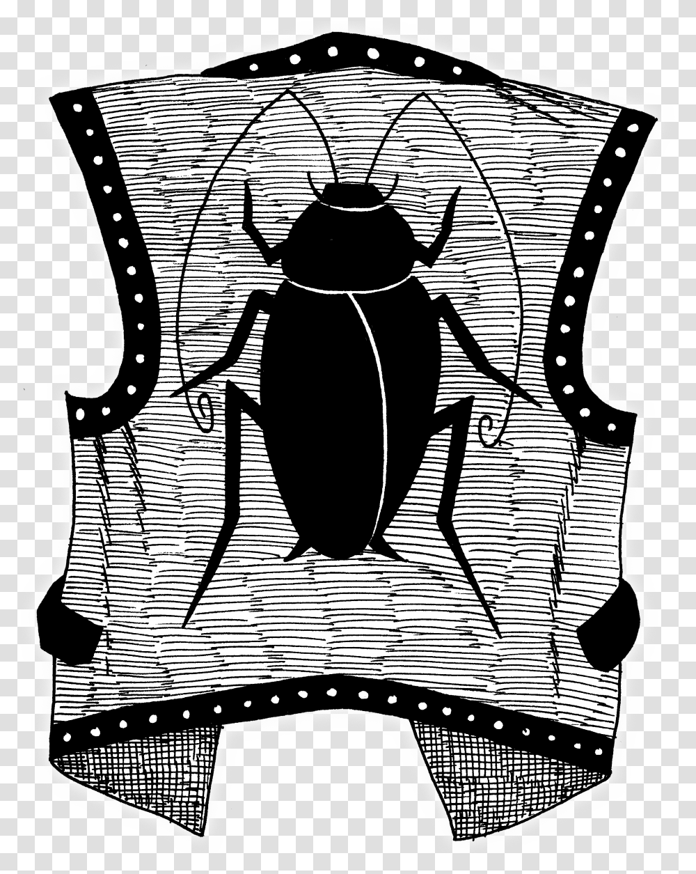 Leaf Beetle, Insect, Invertebrate, Animal, Dung Beetle Transparent Png