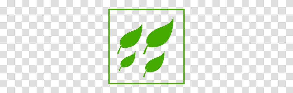 Leaf Blowers Clipart, Plant, Green, Seed, Grain Transparent Png