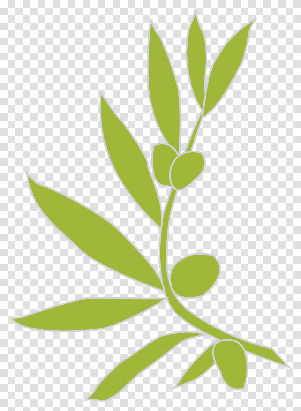 Leaf Branch Clipart Background, Plant, Flower, Blossom, Green Transparent Png