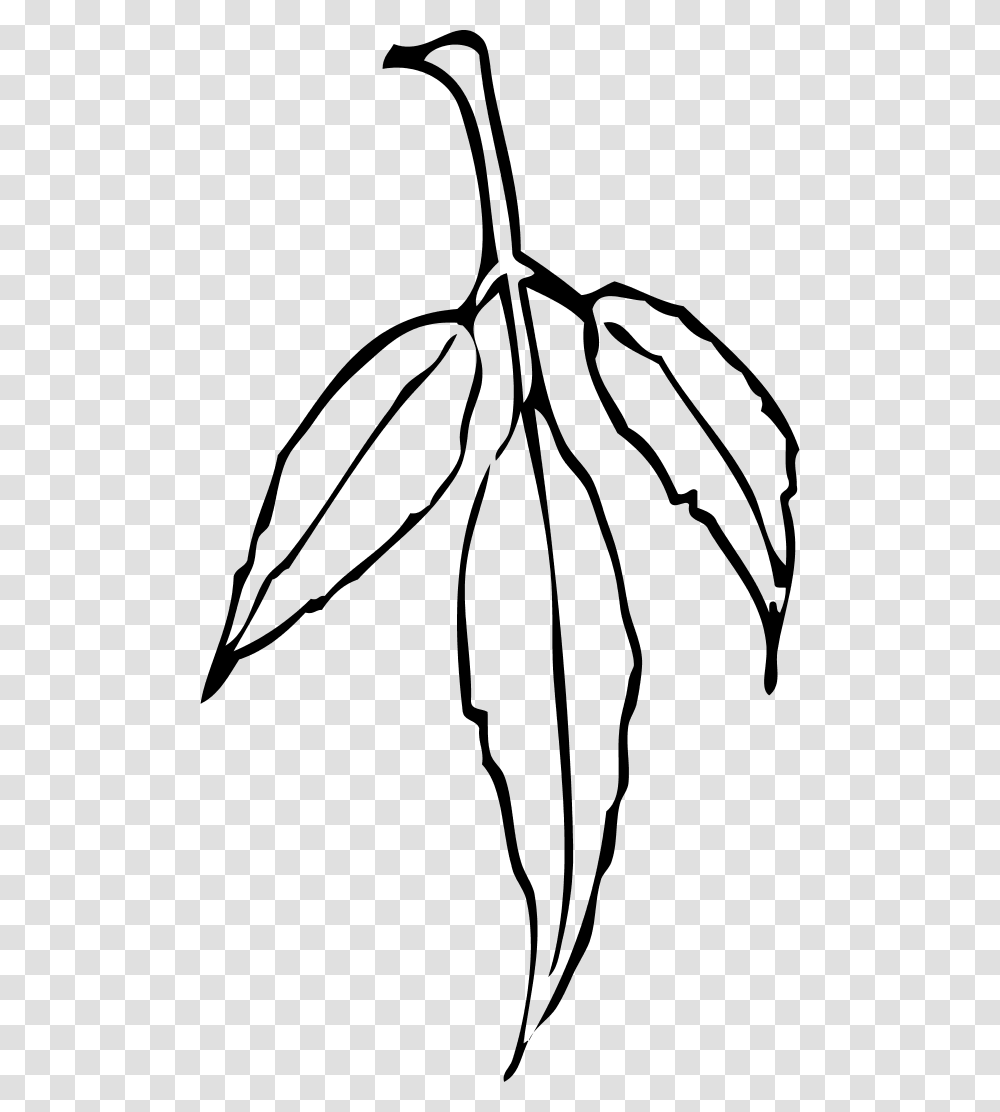 Leaf Branch, Gray, World Of Warcraft Transparent Png