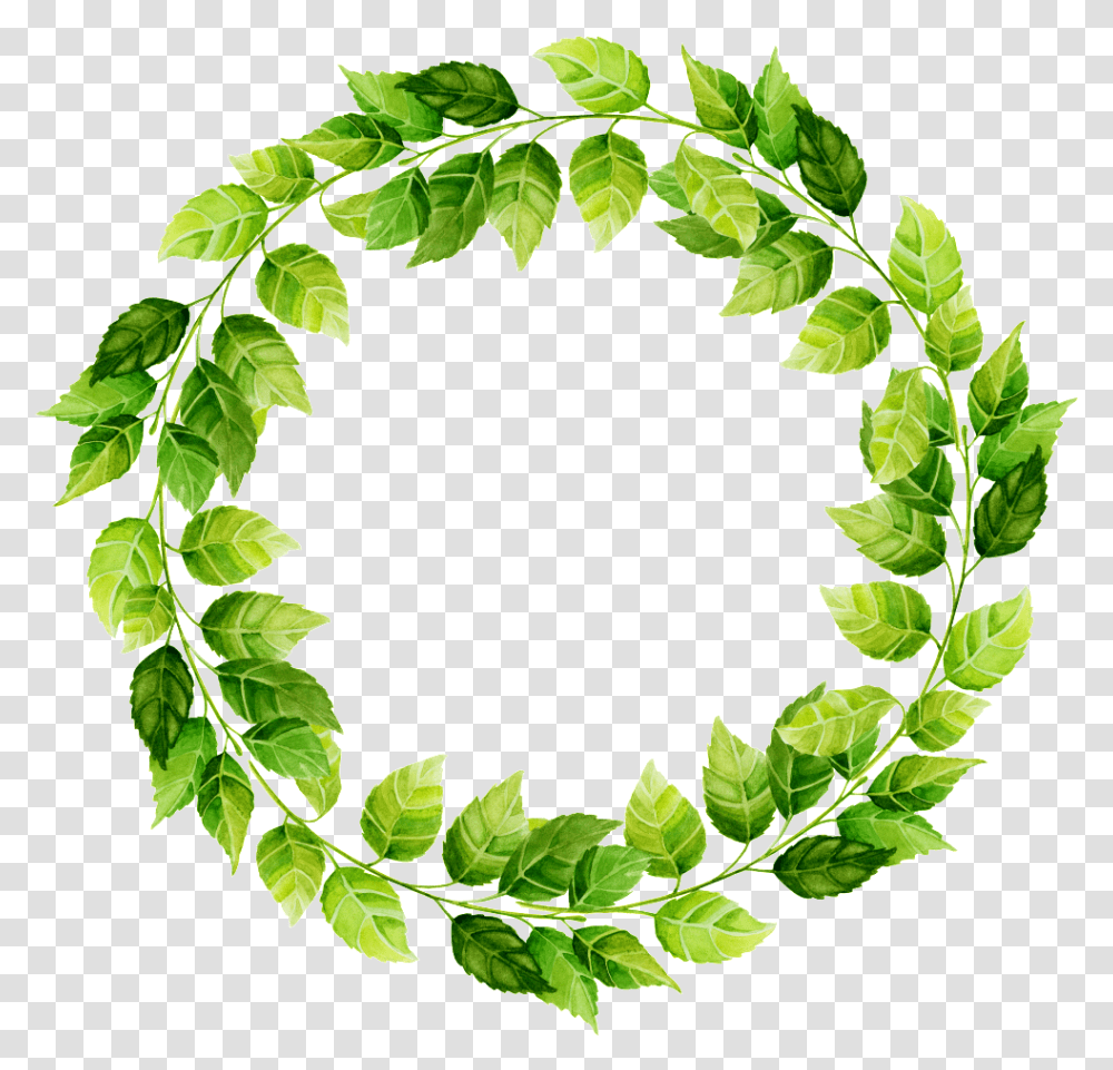 Leaf Circle, Green, Wreath, Plant, Ivy Transparent Png