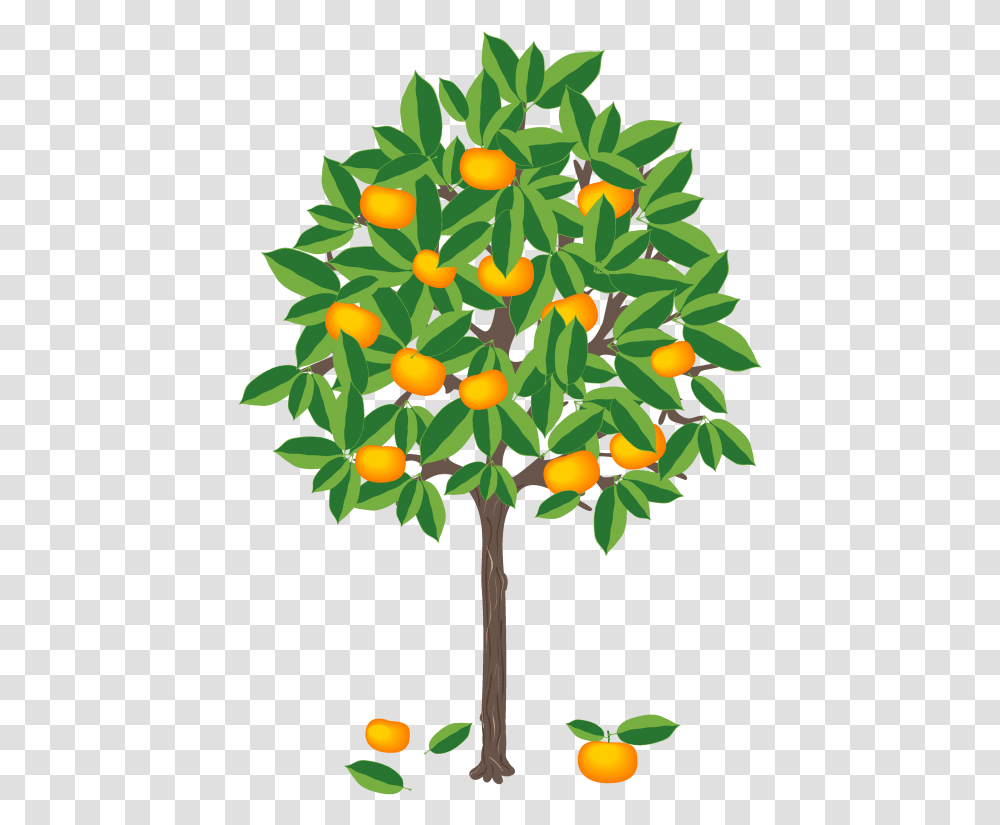 Leaf Clementine - Be Climate Mandarine Tree Clip Art, Plant, Fruit, Food, Citrus Fruit Transparent Png