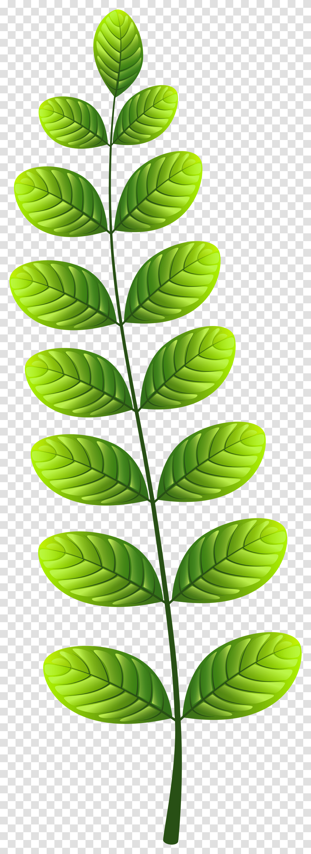 Leaf Clip Ar Transparent Png
