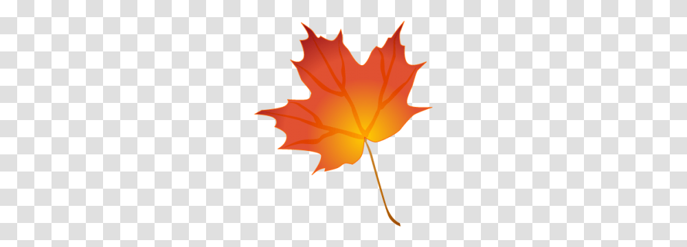 Leaf Clip Art Background, Plant, Tree, Maple Leaf, Person Transparent Png