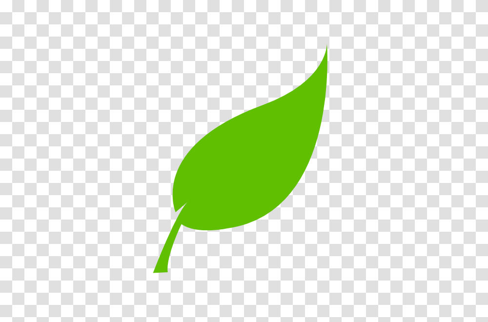 Leaf Clip Art, Green, Plant, Vegetable Transparent Png