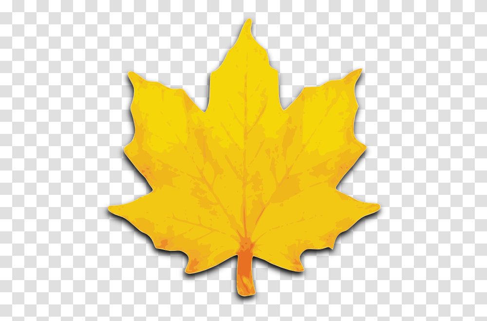 Leaf Clip Art Orange Maple Leaf Clip Art Preschool, Plant, Tree Transparent Png