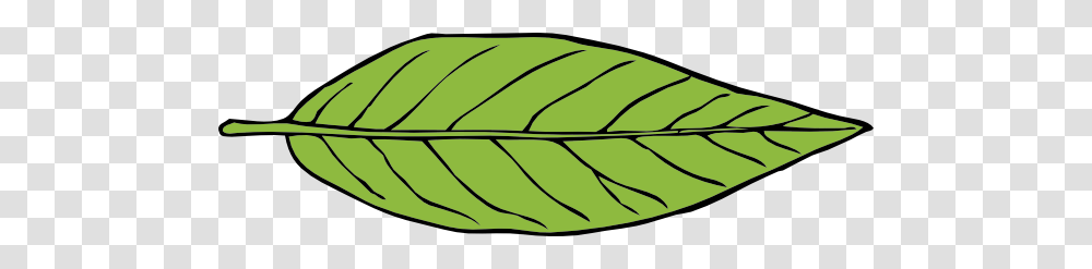 Leaf Clip Art, Plant, Food, Vegetable, Produce Transparent Png