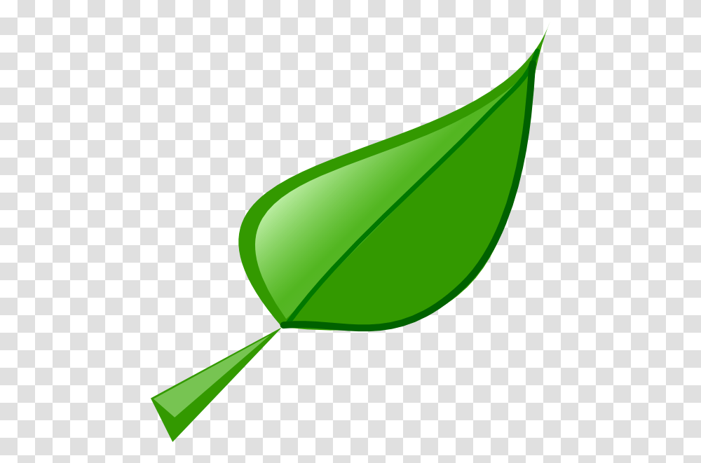 Leaf Clip Art, Plant, Green, Tulip, Flower Transparent Png