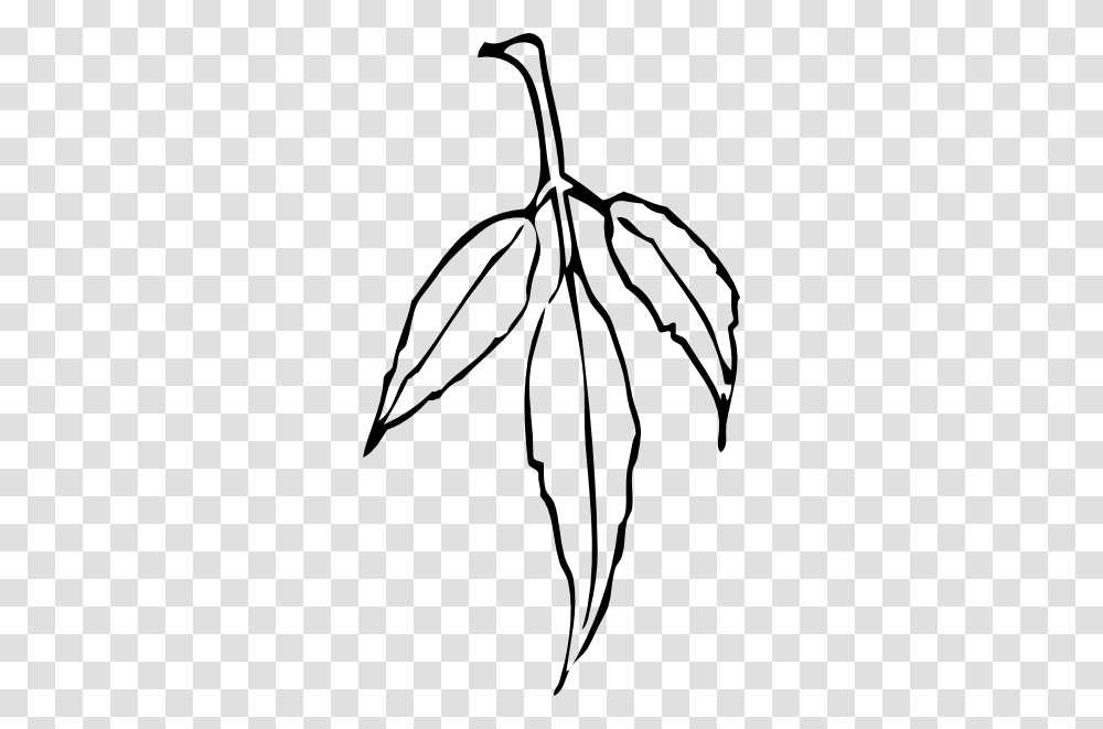 Leaf Clip Art, Plant, Stencil, Spider, Invertebrate Transparent Png