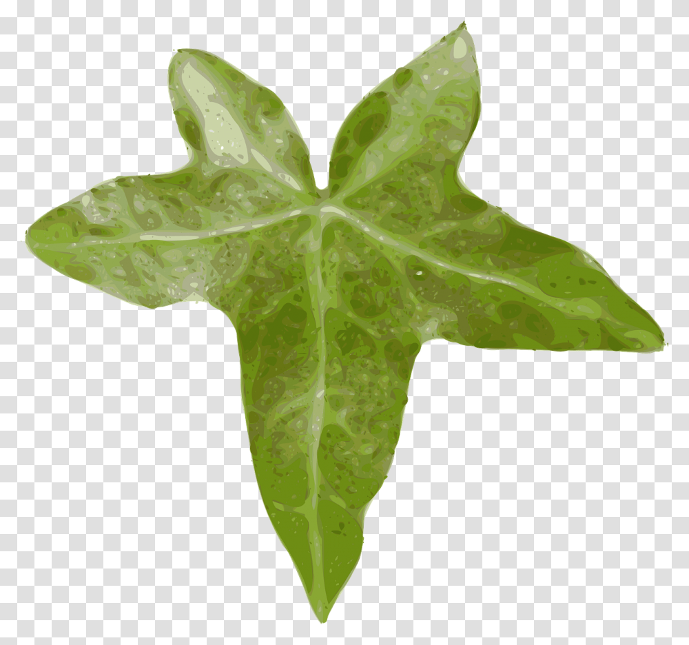 Leaf Clip Art, Plant, Tree, Maple Leaf, Fungus Transparent Png