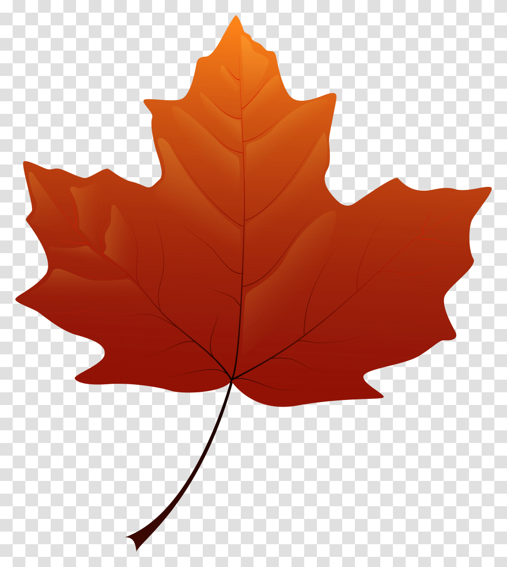 Leaf Clip Art, Plant, Tree, Maple, Maple Leaf Transparent Png