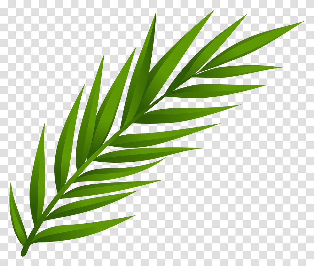 Leaf Clip Art, Plant, Vegetation, Hemp, Weed Transparent Png