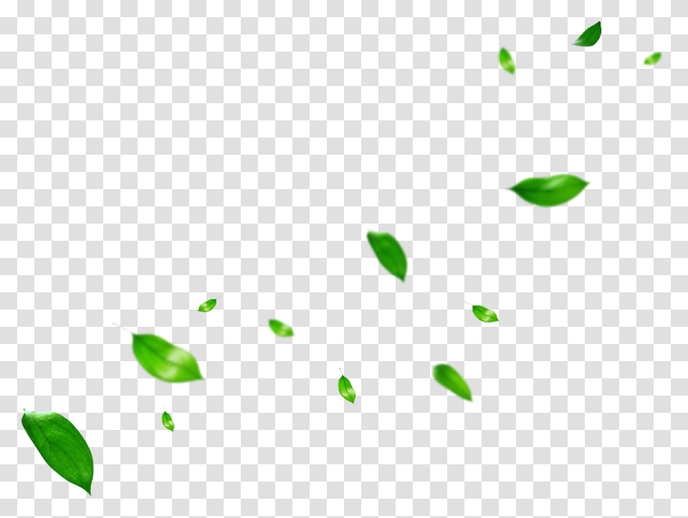 Leaf Clip Art Portable Network Graphics Plant Stem Green Leaves Overlay, Jewelry, Accessories, Accessory, Gemstone Transparent Png