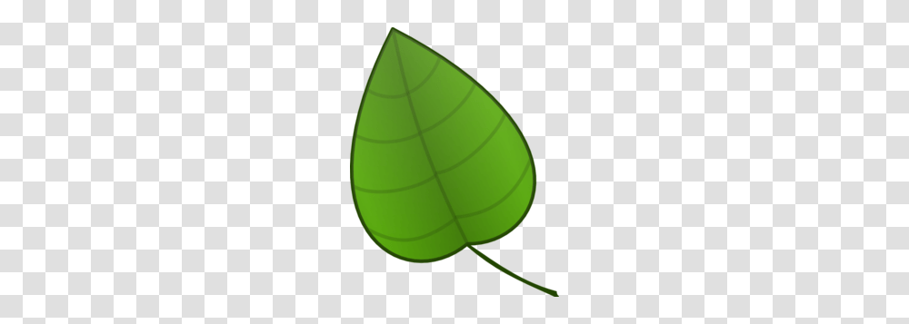 Leaf Clip Art, Tennis Ball, Sport, Sports, Plant Transparent Png