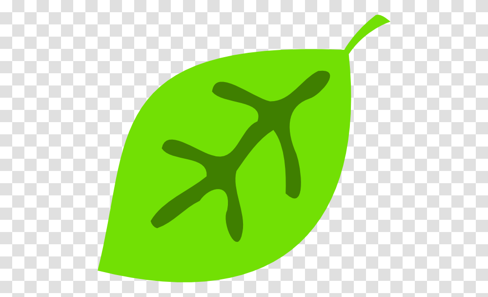 Leaf Clip Arts For Web, Plant, Food, Vegetable, Logo Transparent Png