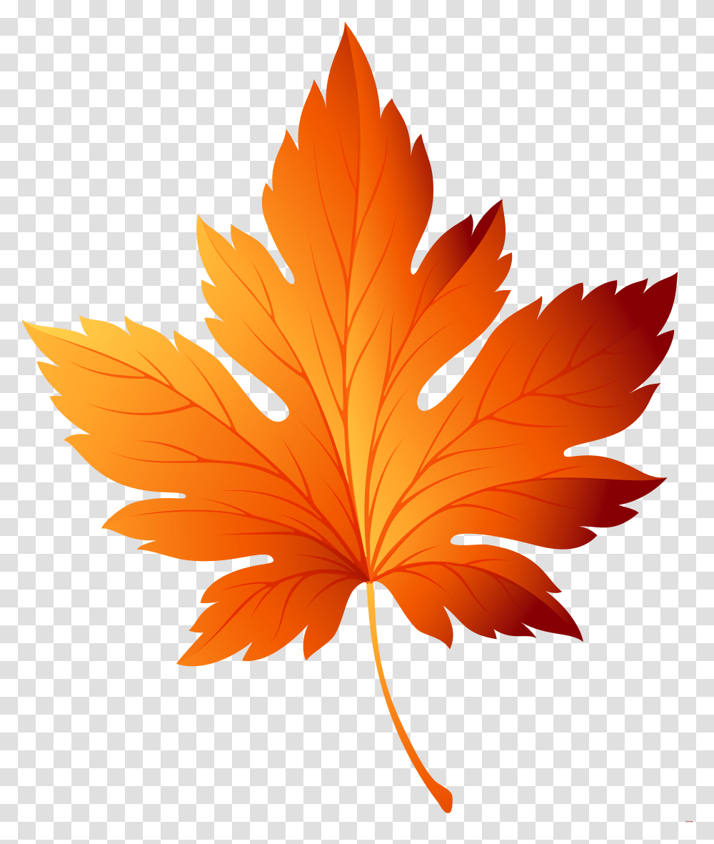 Leaf Clipart Clear Background Autumn Leaves Vector, Plant, Tree, Maple Leaf Transparent Png