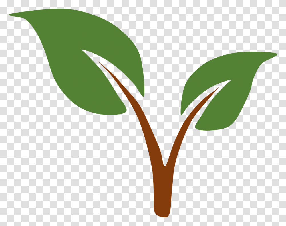Leaf Clipart Clear Background, Plant, Green, Sprout, Tree Transparent Png