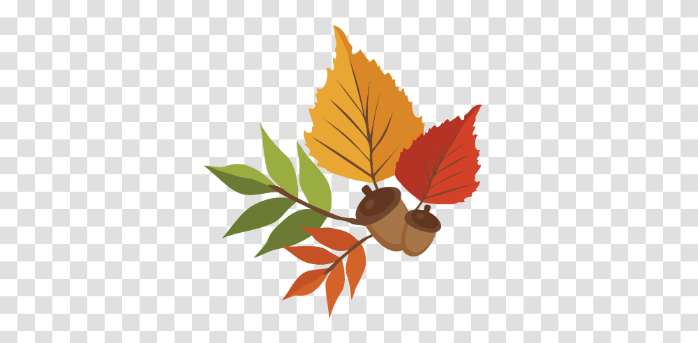 Leaf Clipart Cute, Plant, Vegetable, Food, Nut Transparent Png