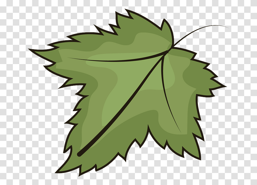 Leaf Clipart Illustration, Plant, Tree, Bow, Maple Leaf Transparent Png