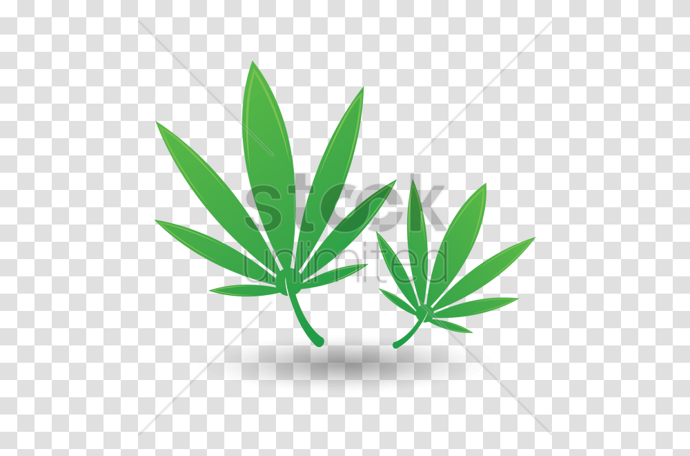 Leaf Clipart Illustration, Plant, Weed, Hemp Transparent Png