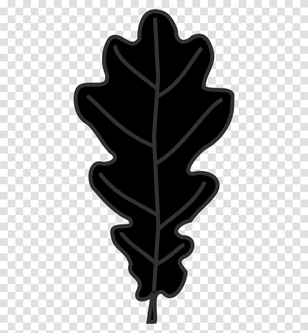 Leaf Clipart Oak Tree, Plant, Stencil, Floral Design, Pattern Transparent Png