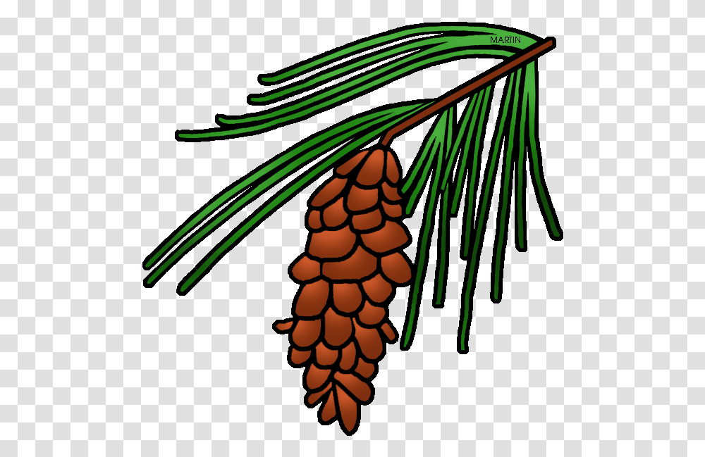 Leaf Clipart Pine Tree Maine State Flower Drawing, Plant, Conifer, Lamp, Fir Transparent Png