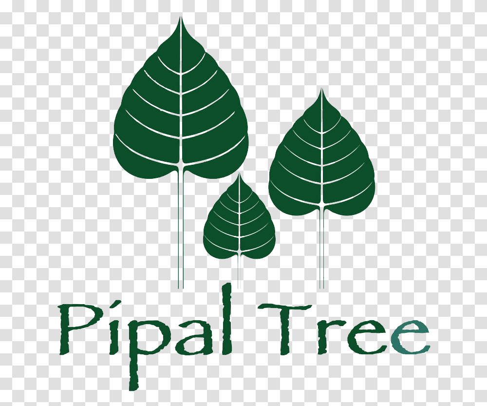 Leaf Clipart Pipal Tree Clipart Of Leaf Of Pipal, Plant, Green, Lamp Transparent Png