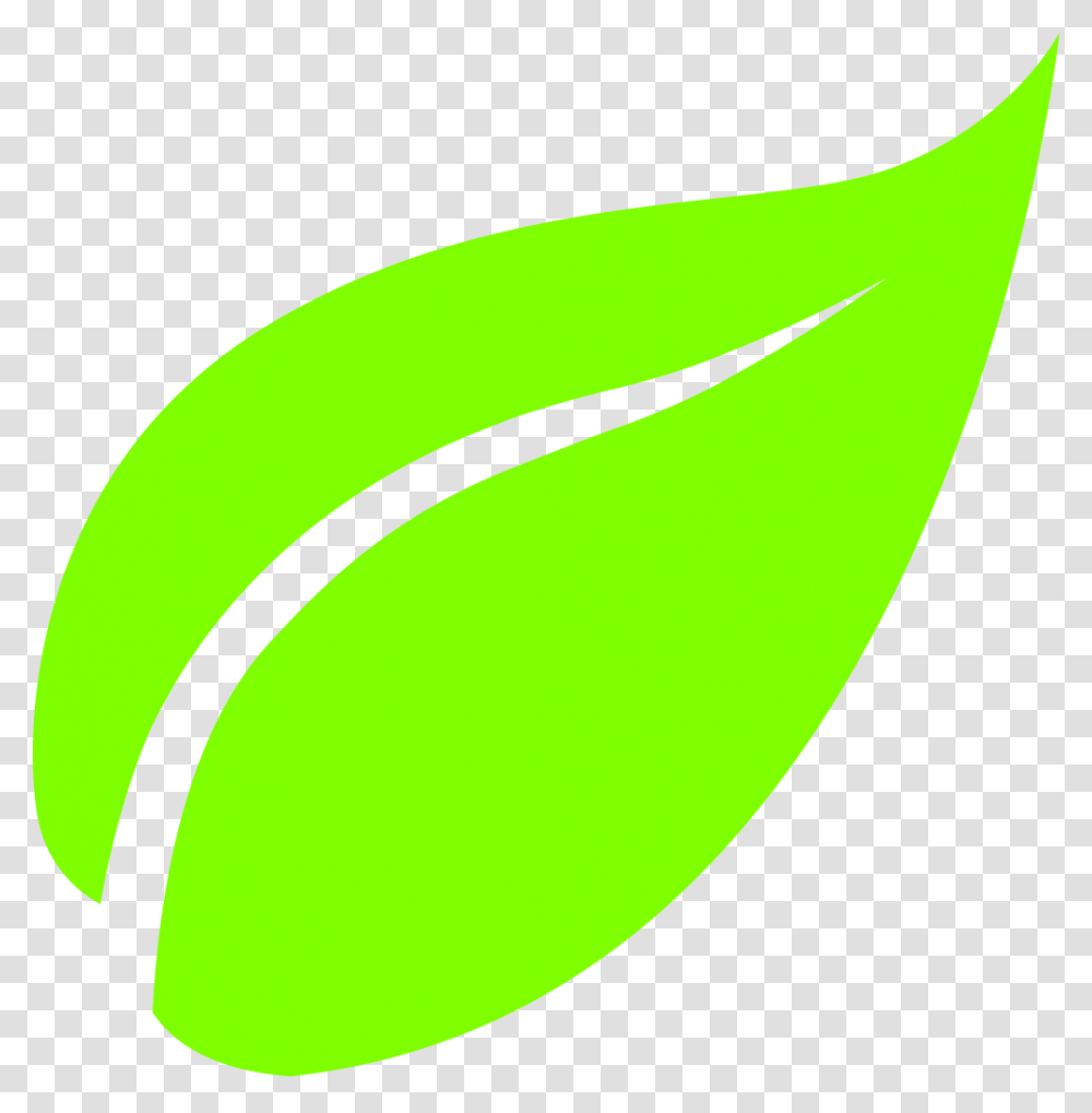 Leaf Clipart, Tennis Ball, Plant, Produce, Food Transparent Png