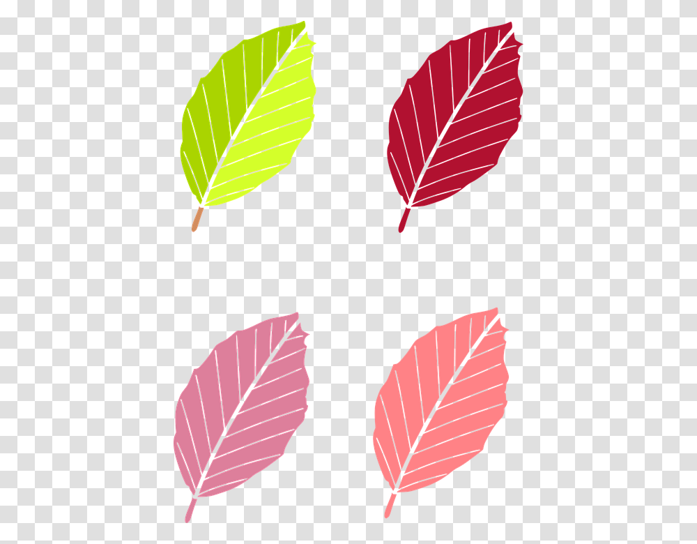 Leaf Colored Vector, Plant, Veins, Silhouette Transparent Png