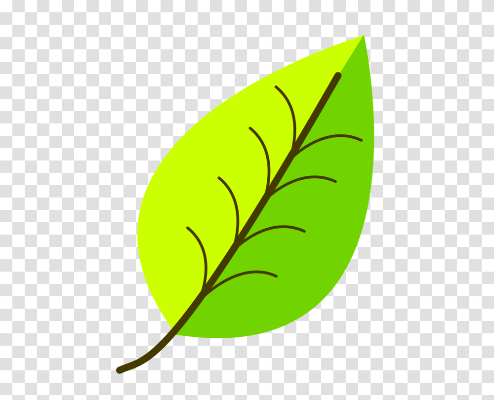 Leaf Computer Icons Green Drawing Yellow, Plant, Silhouette, Tennis Ball, Sport Transparent Png
