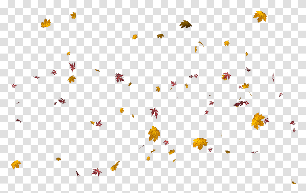 Leaf, Confetti, Paper Transparent Png