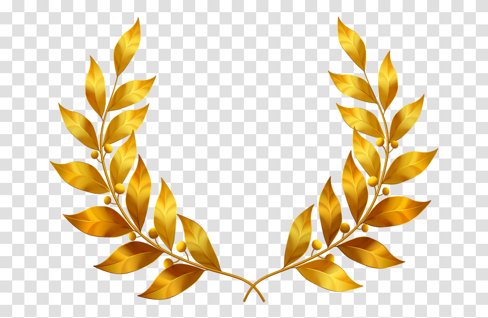 Leaf Crown Trophy, Plant, Gold Transparent Png