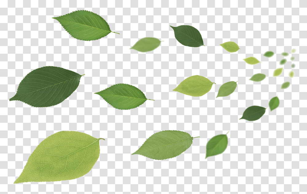 Leaf Desktop Wallpaper Leaves In Air, Plant, Pattern, Food, Seed Transparent Png