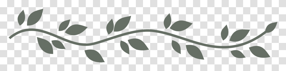 Leaf Divider Leaves Divider, Gray, Texture Transparent Png