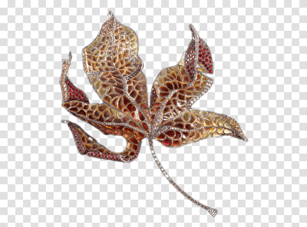 Leaf Download Luz Camino Joyas, Sea Life, Animal, Invertebrate, Octopus Transparent Png