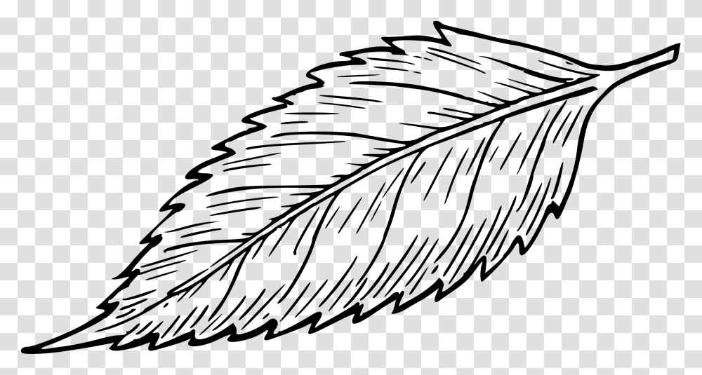 Leaf Drawing Image Clip Art Of Leaves Black And White, Gray, World Of Warcraft Transparent Png