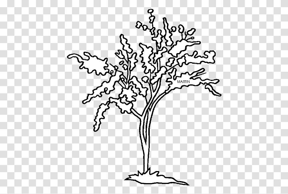Leaf Drawing Redbud And State Tree Of Oklahoma State Tree For Oklahoma, Stencil, Floral Design Transparent Png